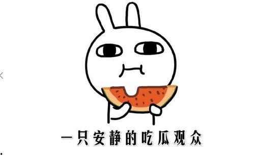 网络热门黑料吃瓜,吃瓜群众如何辨别真相与谣言