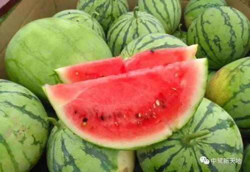 黑料吃瓜中心今日吃瓜武汉万科,黑料吃瓜中心今日聚焦热点事件